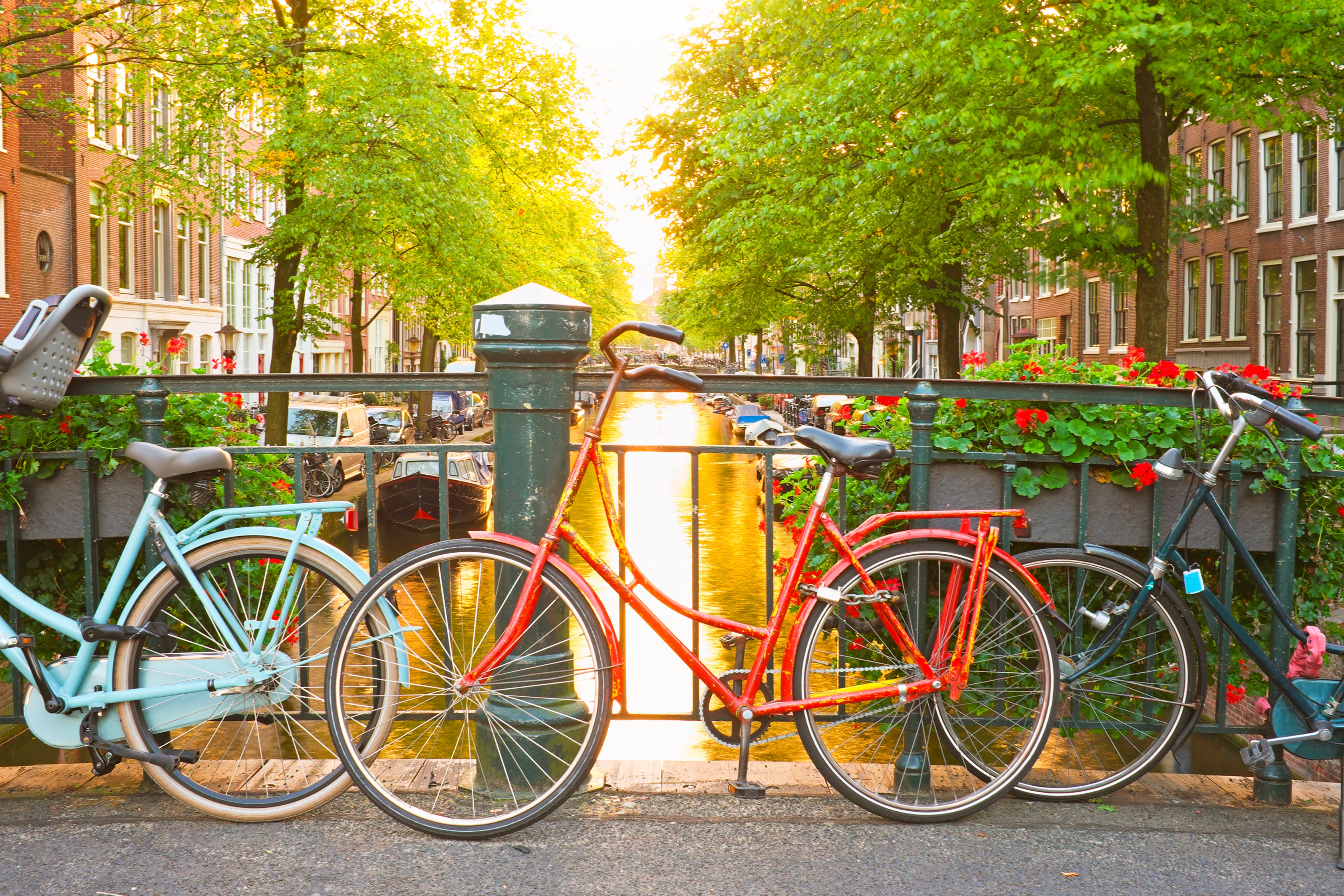 AmsterdamCycling